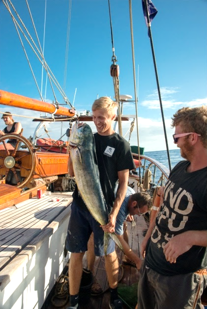 Fisch gefangen