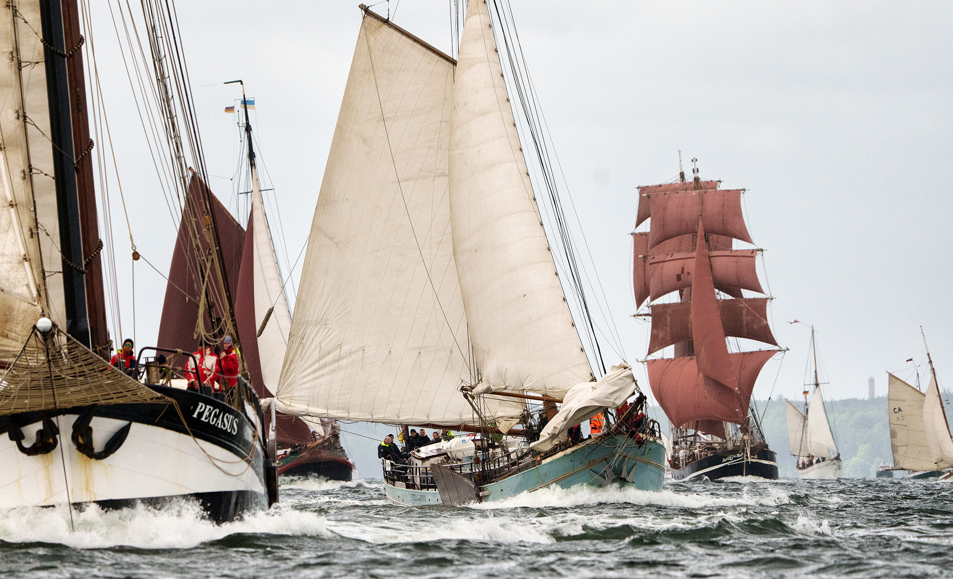 rum regatta klein erhalten von Martin Schulz Hafen Flensbur Foto Marcus Dewanger shz