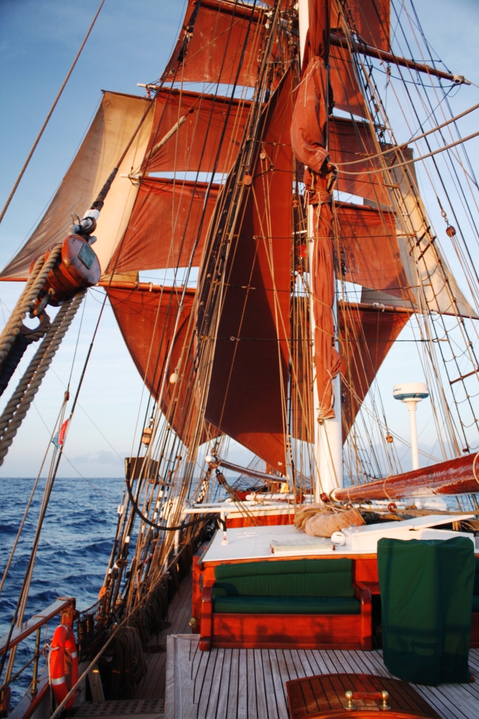 Tall Ship sailing trip