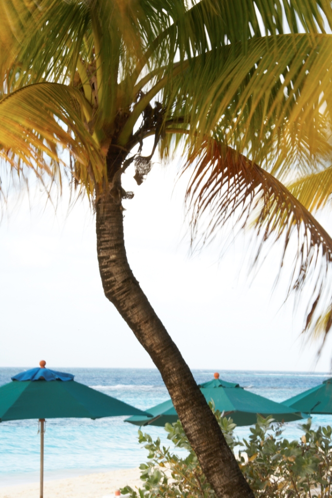 Anguilla Rendezvous Bay Next to Anguilla Great House 08-007174