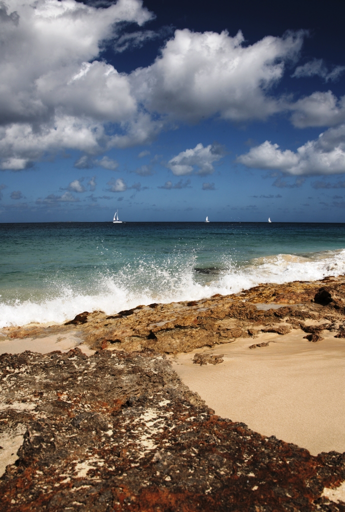 Anguilla SHOAL BAY9
