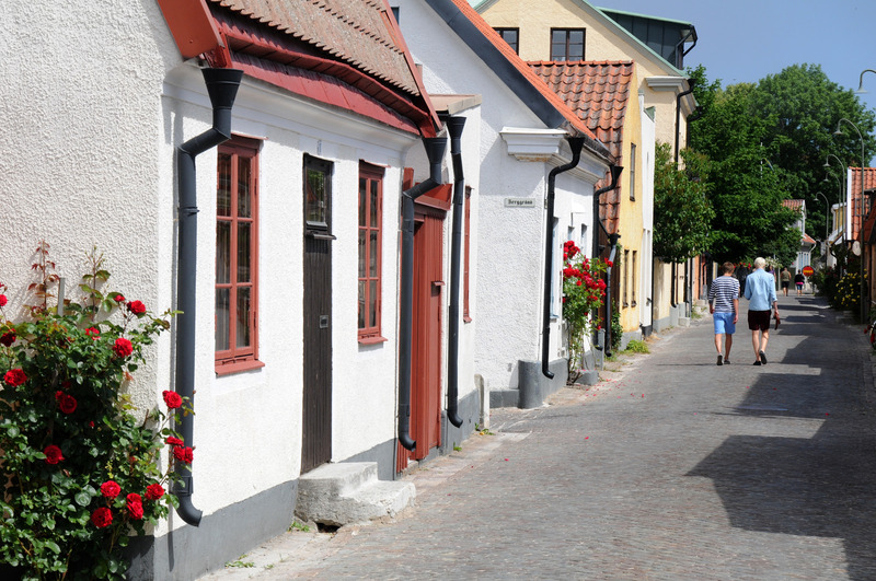Gotland rodrigorivasruiz-gotland-1083
