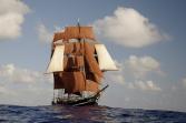 Abenteuer Trans-Atlantik: Von Bermuda auf die Azoren